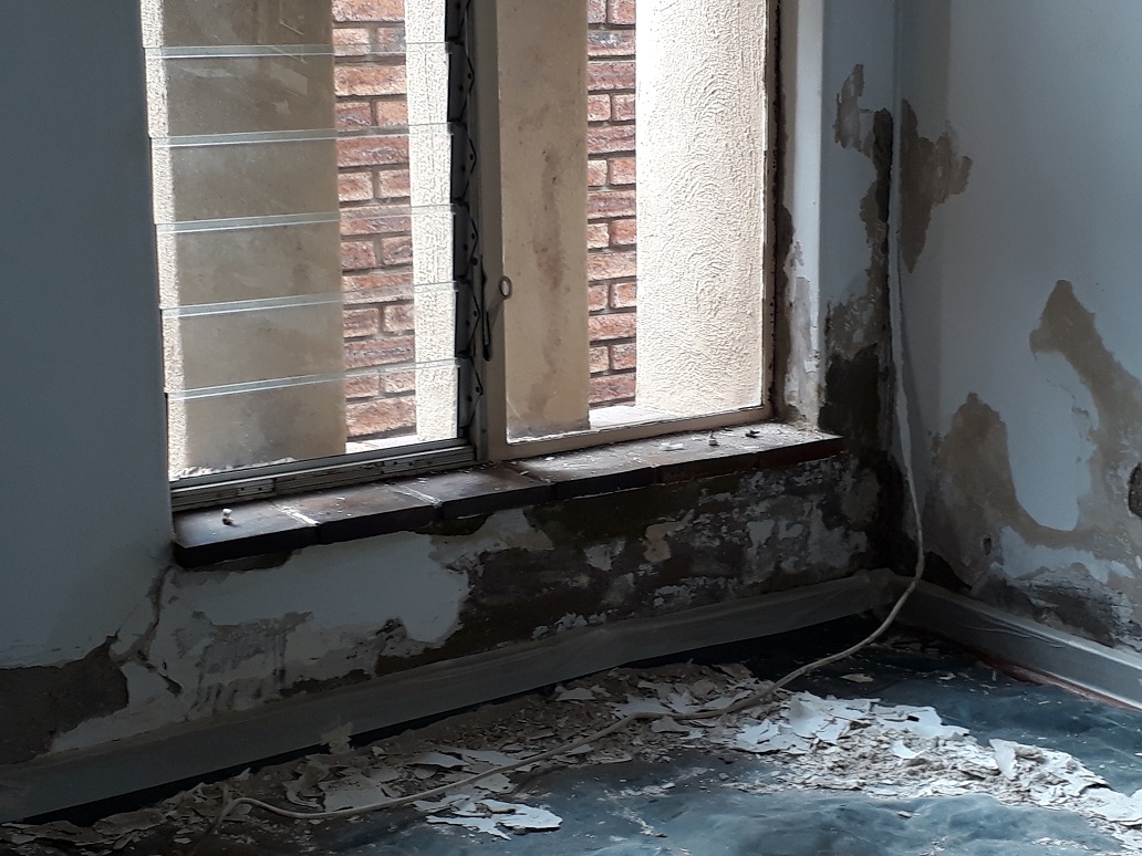 Rising Damp