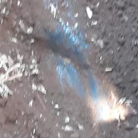 Img 20210506 Wa0003