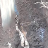 Img 20210506 Wa0005